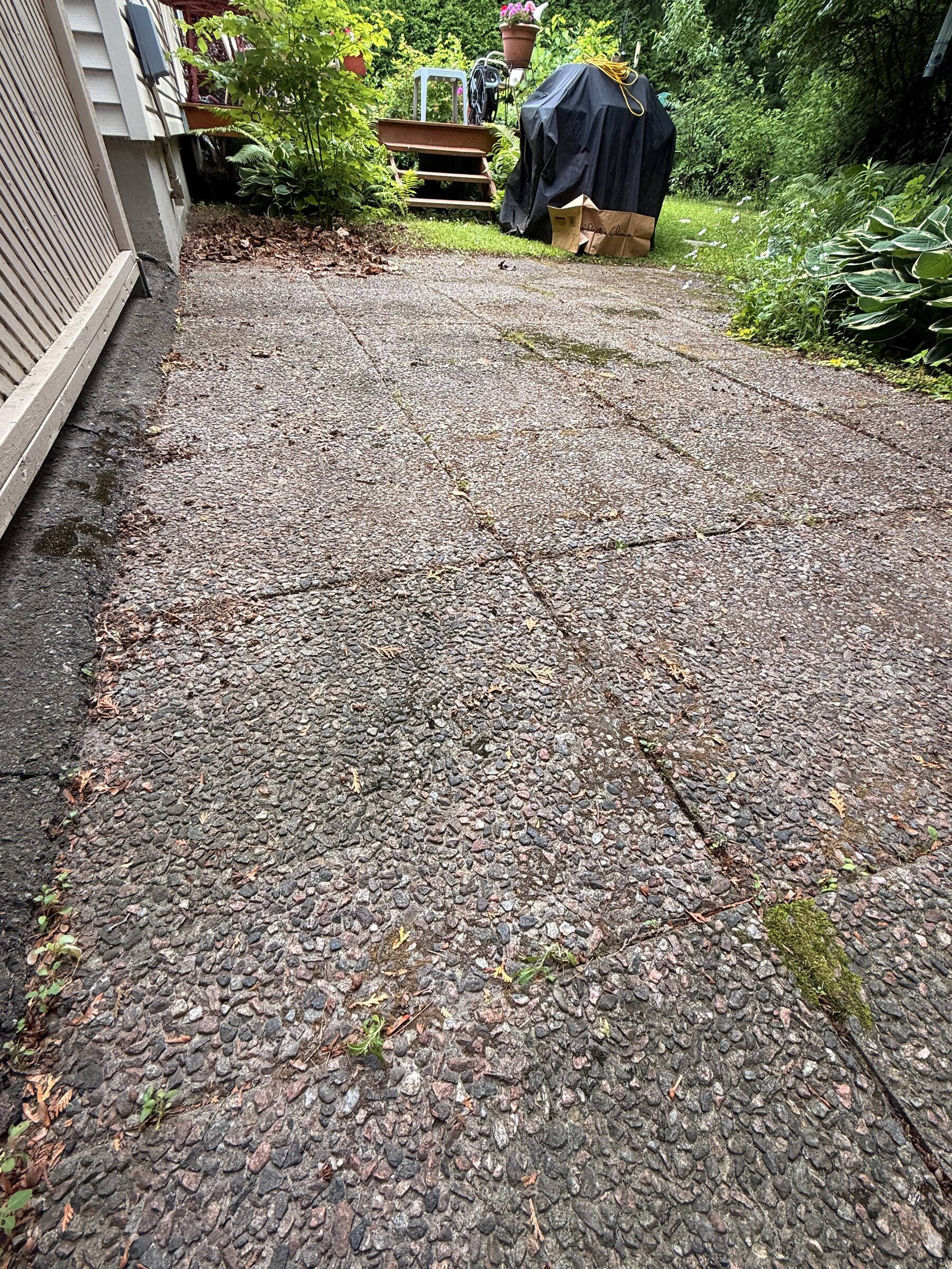 Before: Backyard patio with a ladder, drop sheet and paint tray against the house wall before exterior work